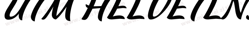UTM HELVETLNS字体转换
